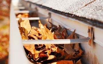 Gadfield Elm gutter cleaning companies