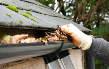 gutter cleaning Gadfield Elm, Worcestershire